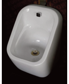 S600 Urinal Bowl - Concealed Trap